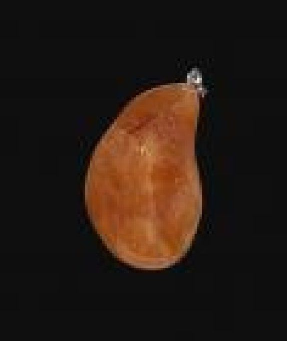 Pendentif Cornaline forme libre