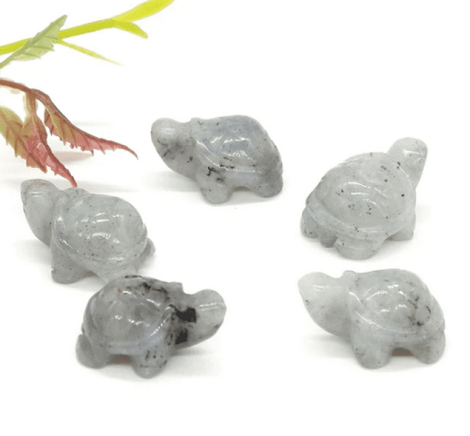 Mini tortue Labradorite