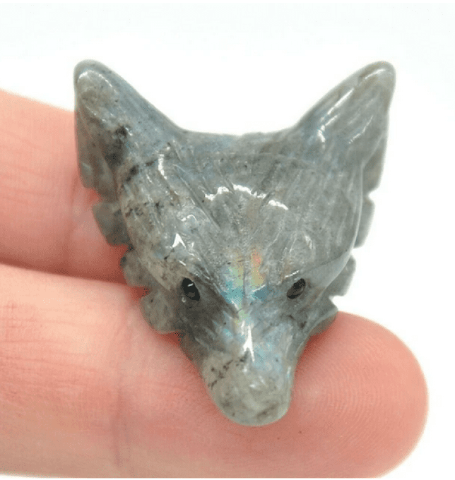 Tête de renard Labradorite
