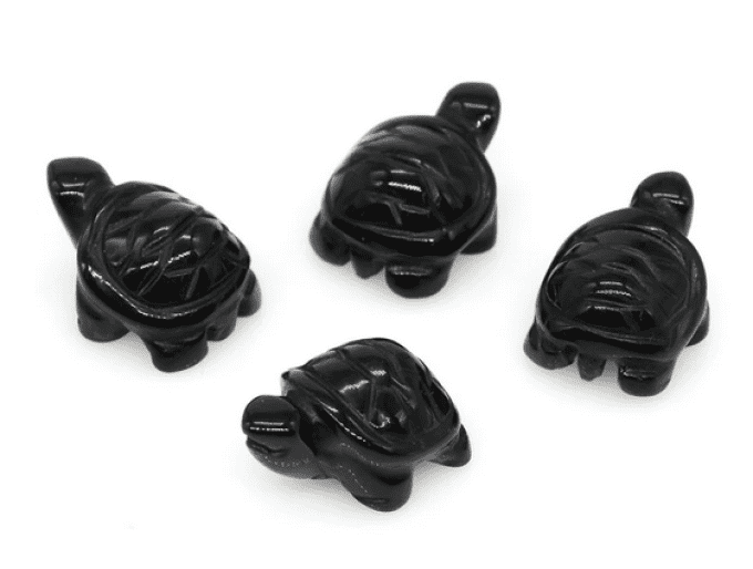 Mini tortue Obsidienne
